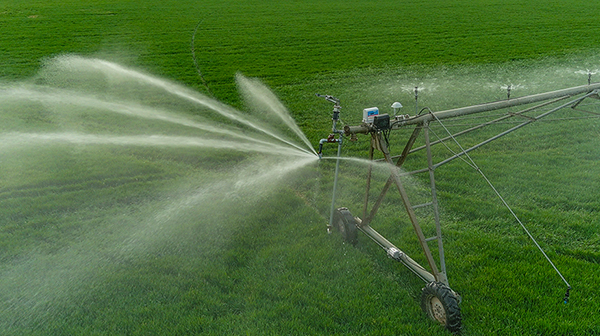 Sprinkler platform irrigation crops