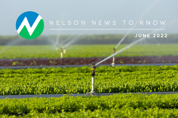 Second Quarter Newsletter