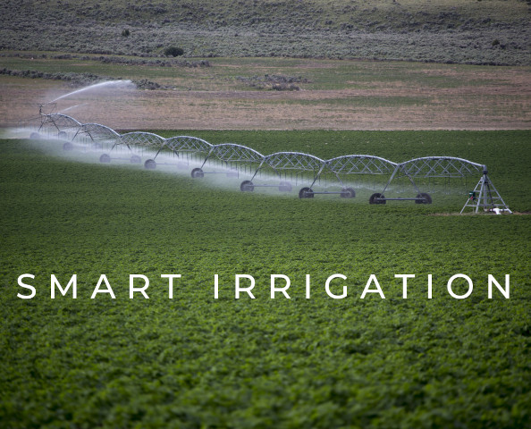 La rentabilité en irrigation