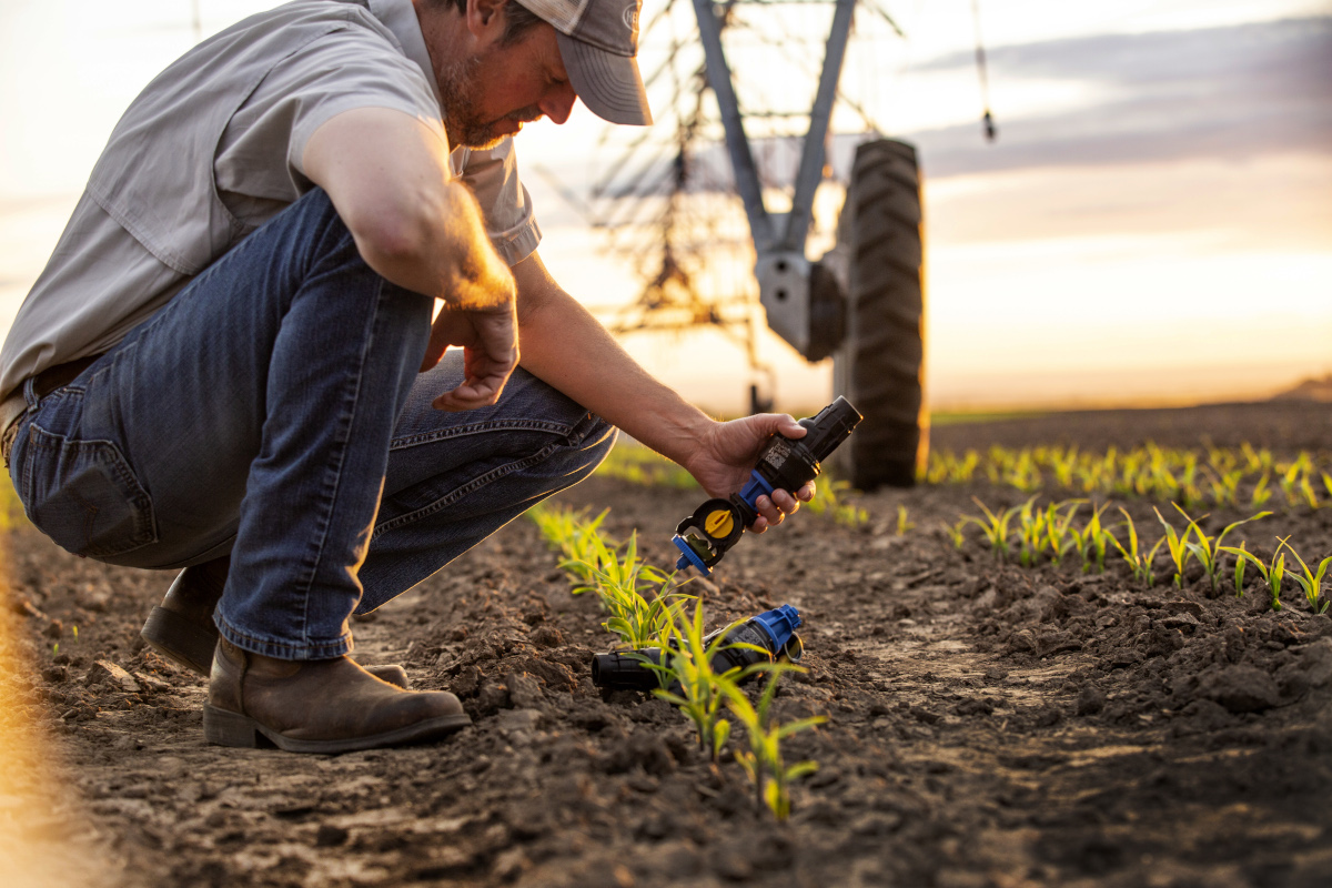 L’irrigation par pivot central est efficiente, efficace et économique
