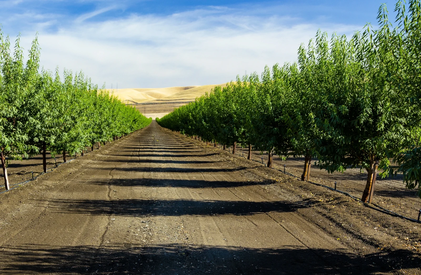 Full Coverage Irrigation Solutions